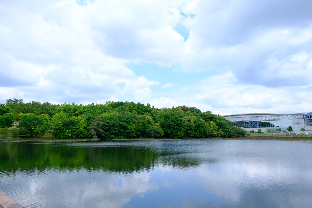 本日（5/23）の撮り物（7）