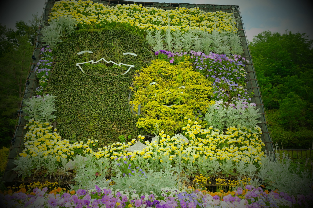 本日（5/23）の撮り物（9）