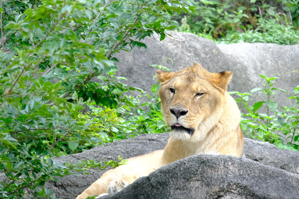本日（6/14）の撮りもの（23）