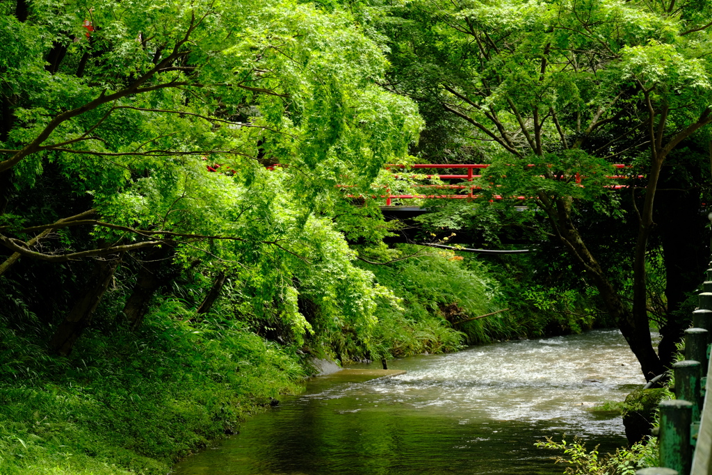 本日（7/12）のセレクション（3）