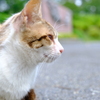 名城公園にて（16）