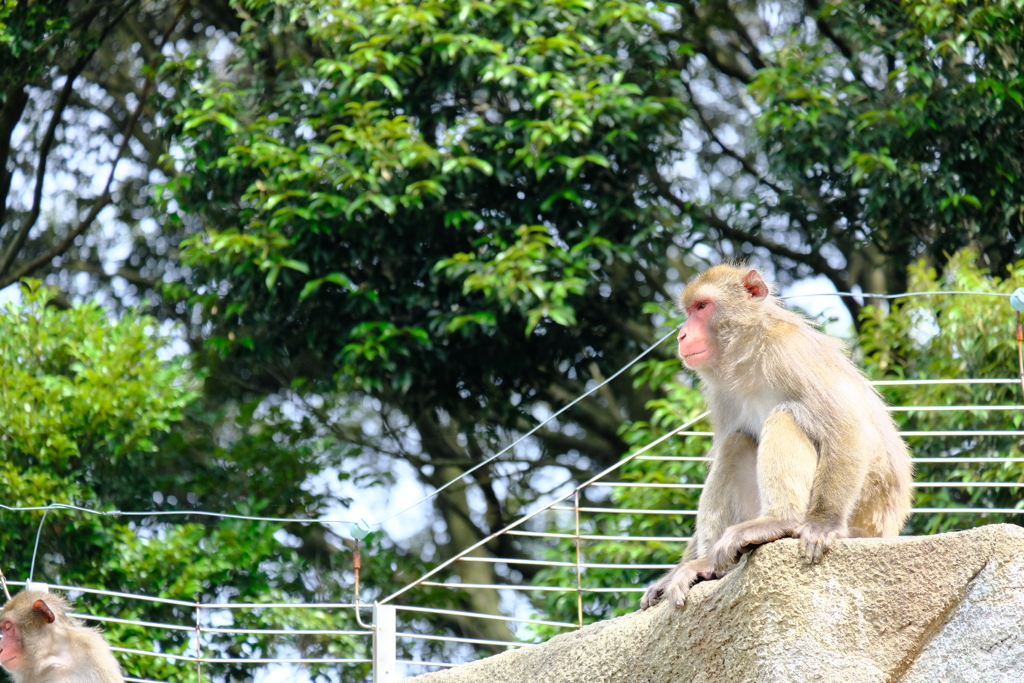 本日（6/14）の撮りもの（20）