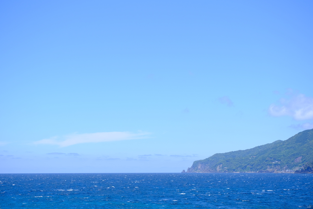 本日（6/7）の撮りもの（2）