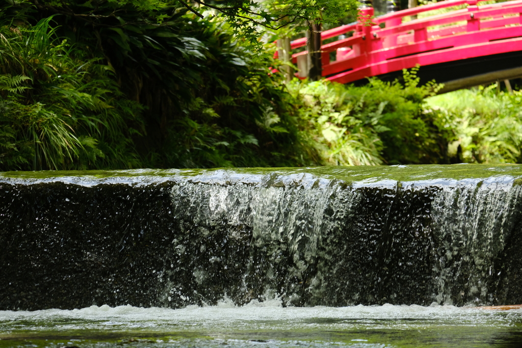 本日（7/12）のセレクション（5）