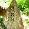 柿其渓谷にて（1）