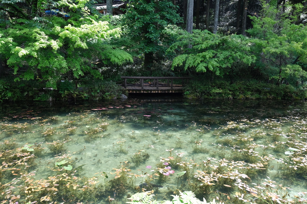 今日の旅撮り（3）