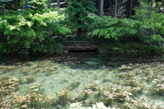 今日の旅撮り（3）