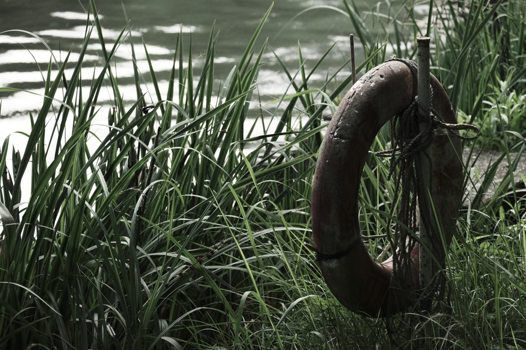 本日（7/10）の撮りもの（18）