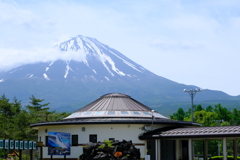 先日の撮りもの（1）