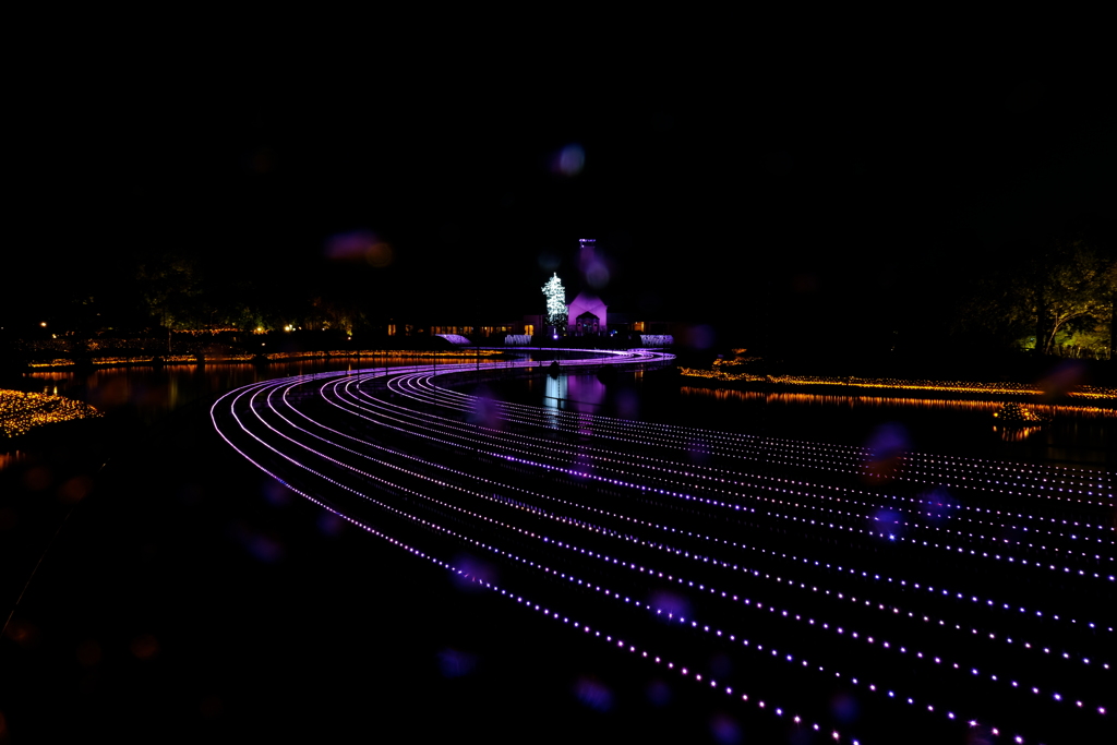 なばなの里にて（8）