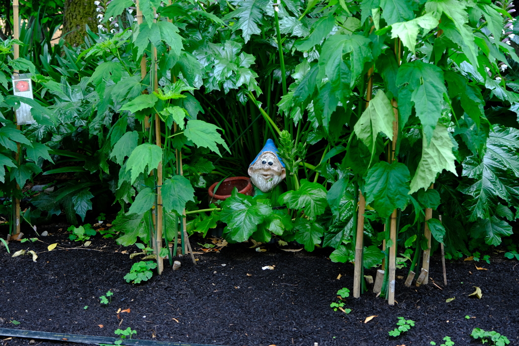 名城公園にて（3）