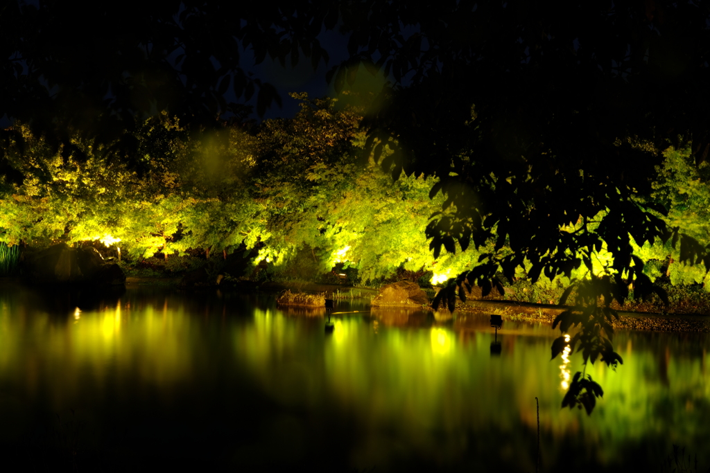 なばなの里にて（7）