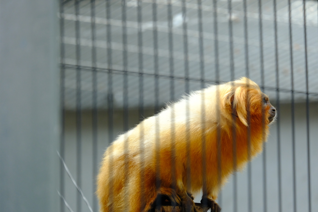 本日（6/14）の撮りもの（29）