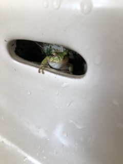 職場にいた子