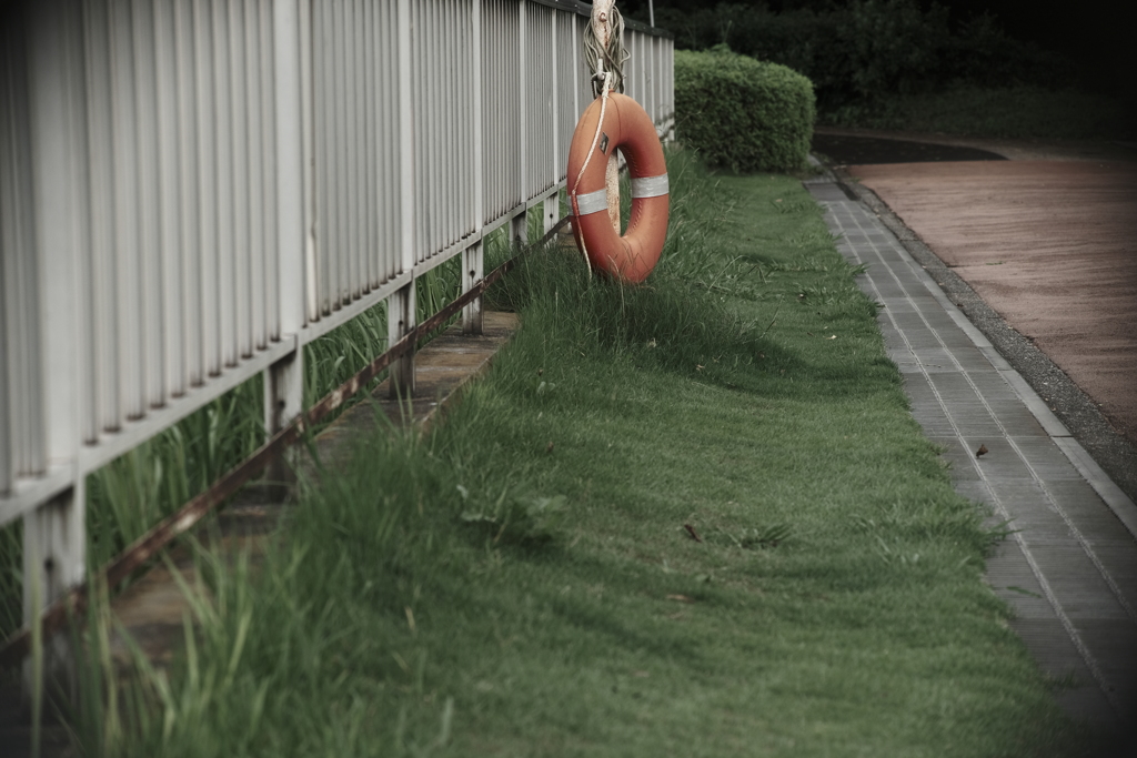 本日（7/10）の撮りもの（9）