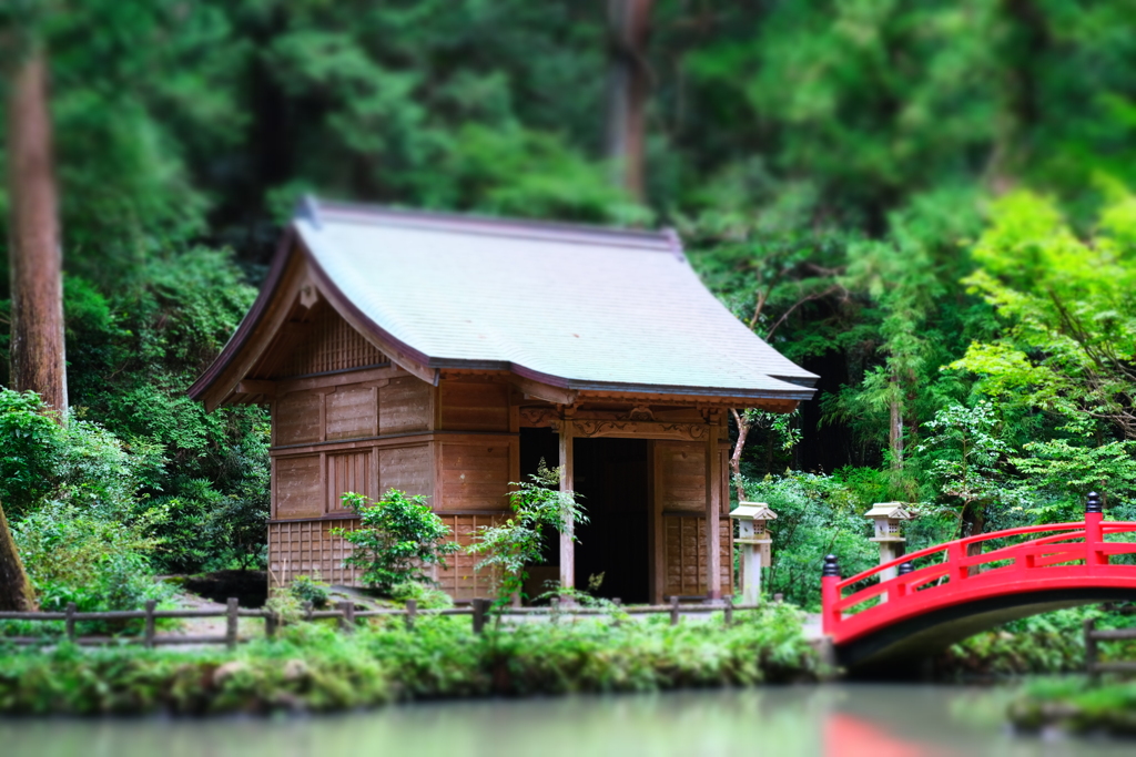 本日（7/12）のセレクション（1）