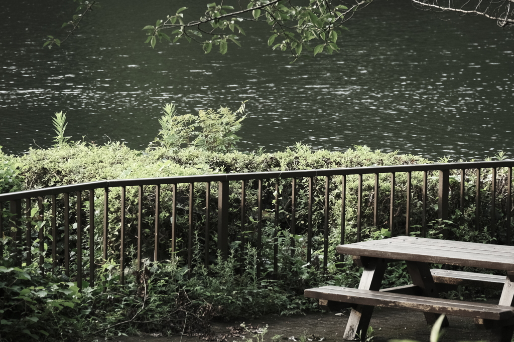 本日（7/10）の撮りもの（17）