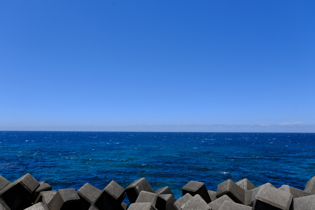 本日（6/7）の撮りもの（1）