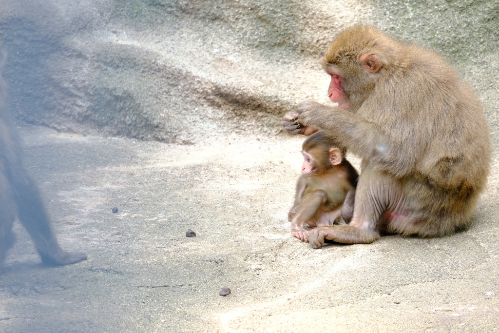 本日（6/14）の撮りもの（21）