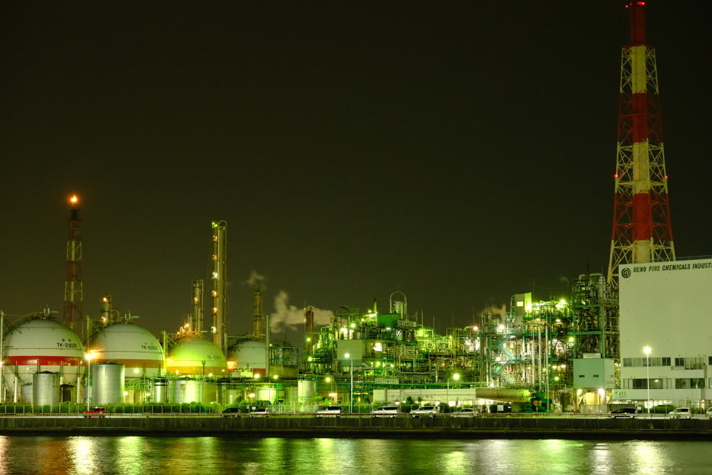 本日(6/3)の撮りもの（4）