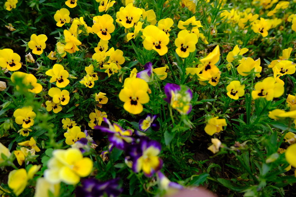 仕事帰りに（6）