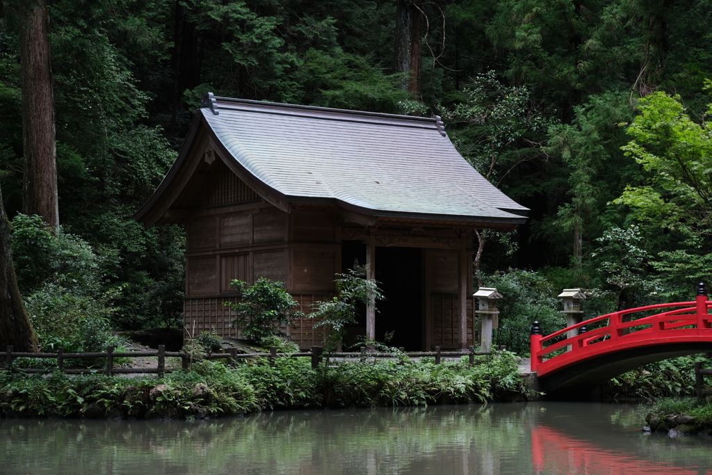 本日（7/12）のセレクション（2）