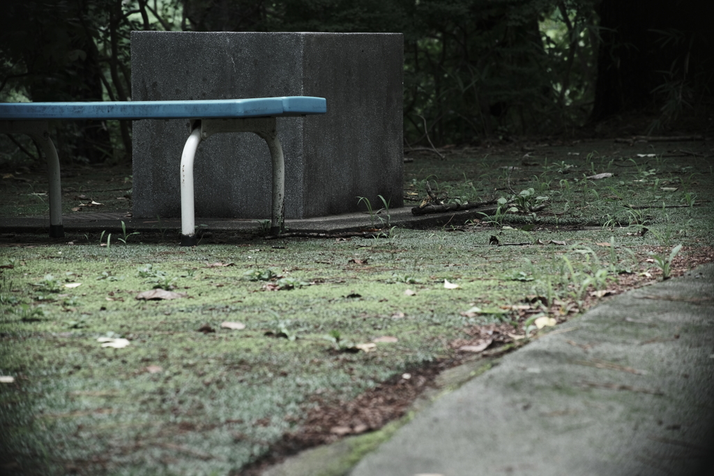 本日（7/10）の撮りもの（2）