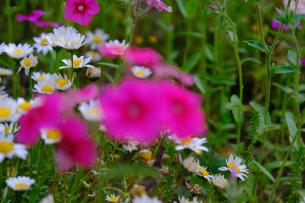 仕事帰りに（3）