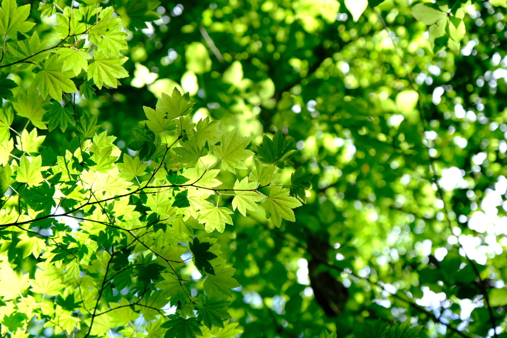 今日の旅撮り（8）