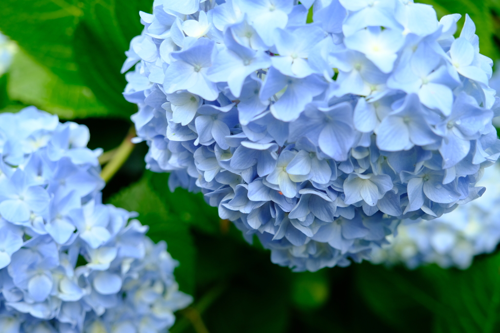 名城公園にて（1）