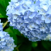 名城公園にて（1）