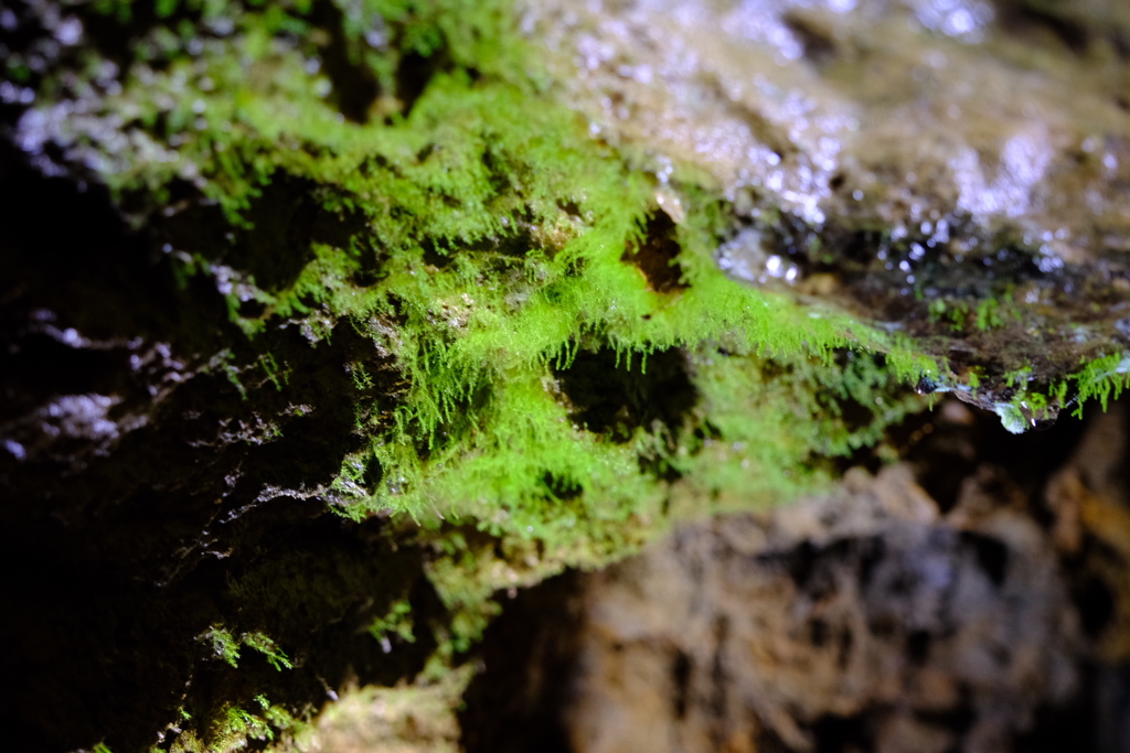 今日の旅撮り（6）