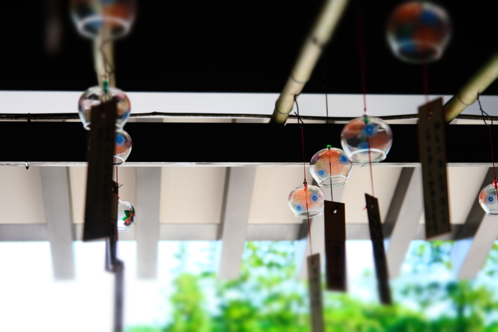 本日（7/12）のセレクション（15）