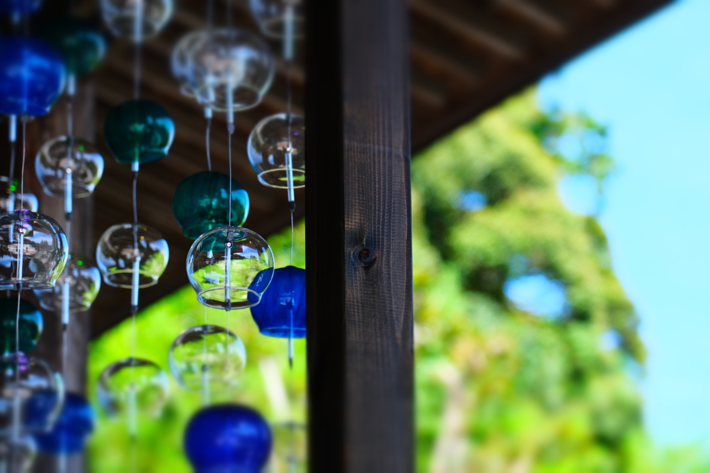 本日（7/12）のセレクション（13）