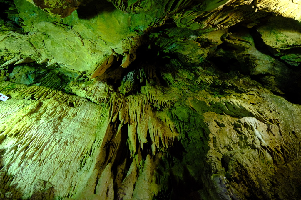 今日の旅撮り（5）