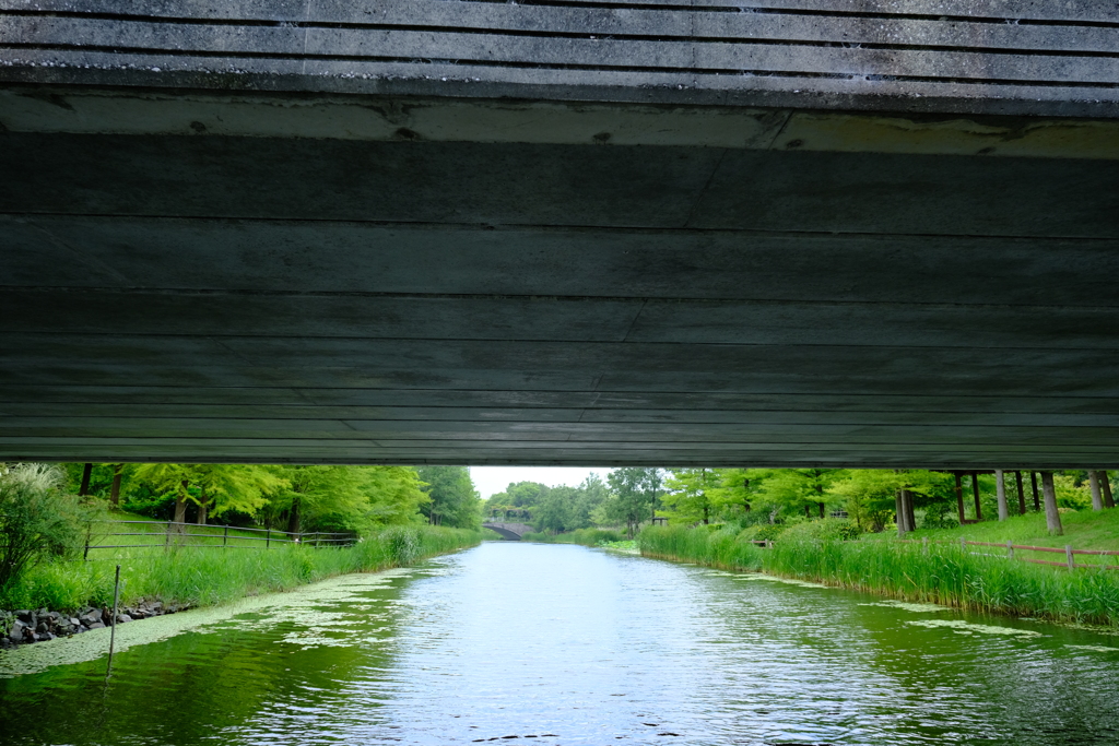 本日（6/14）の撮りもの（17）