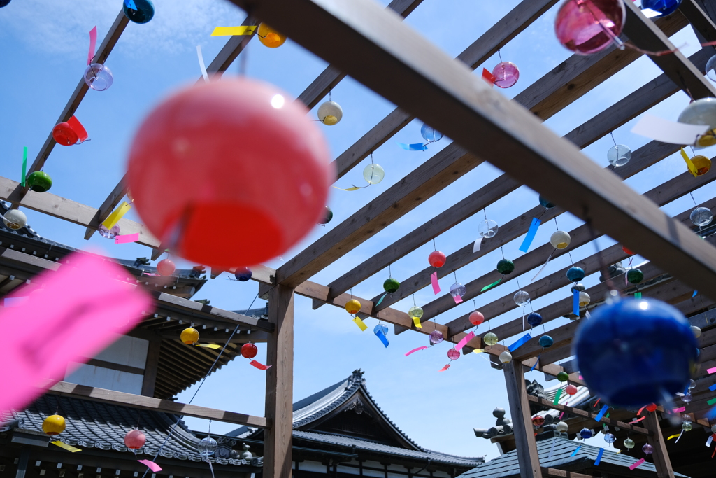 本日（7/12）のセレクション（11）