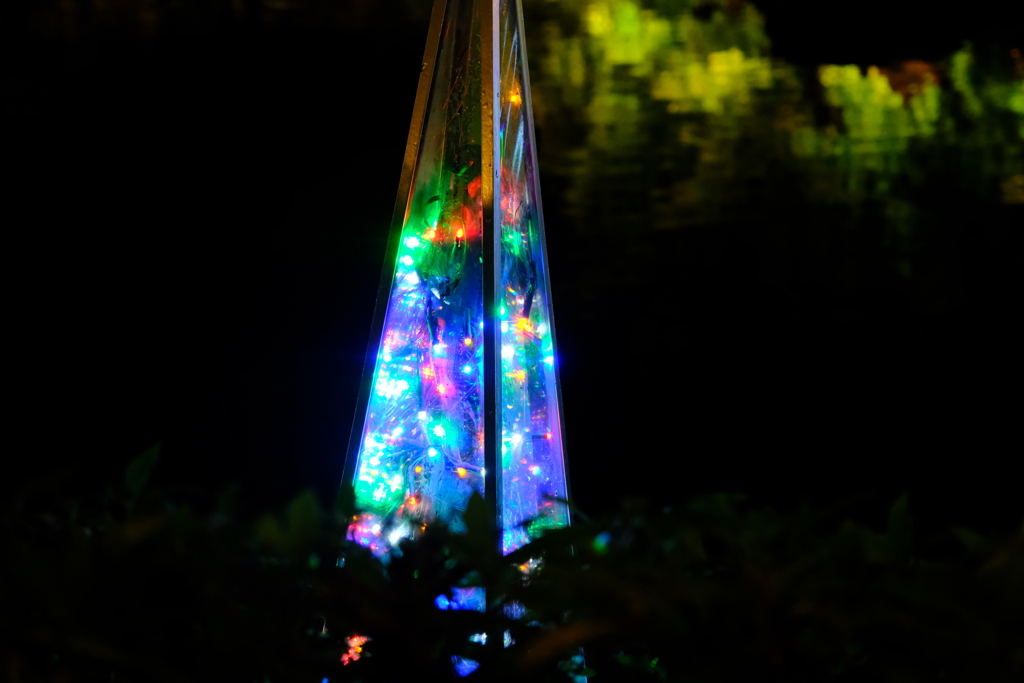 なばなの里にて（9）