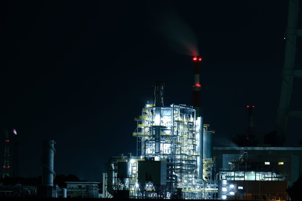 本日(6/3)の撮りもの（10）