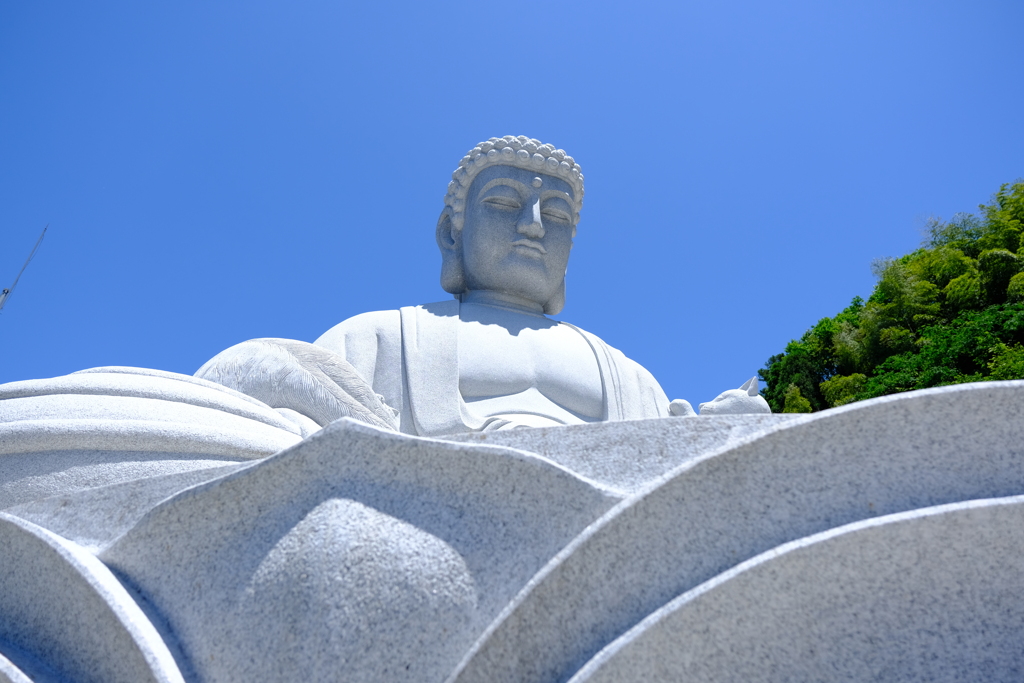 本日（6/7）の撮りもの（6）