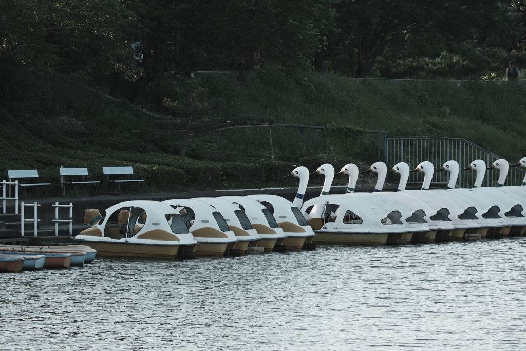 大高緑地にて（1）