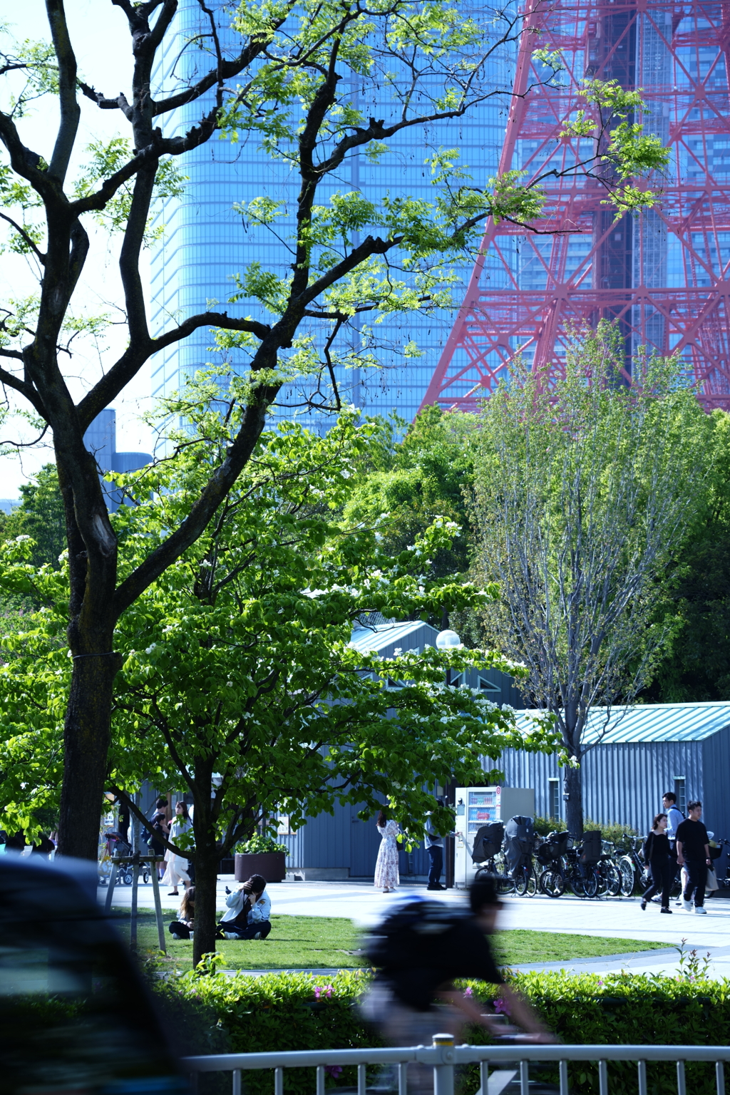 東京タワー近辺
