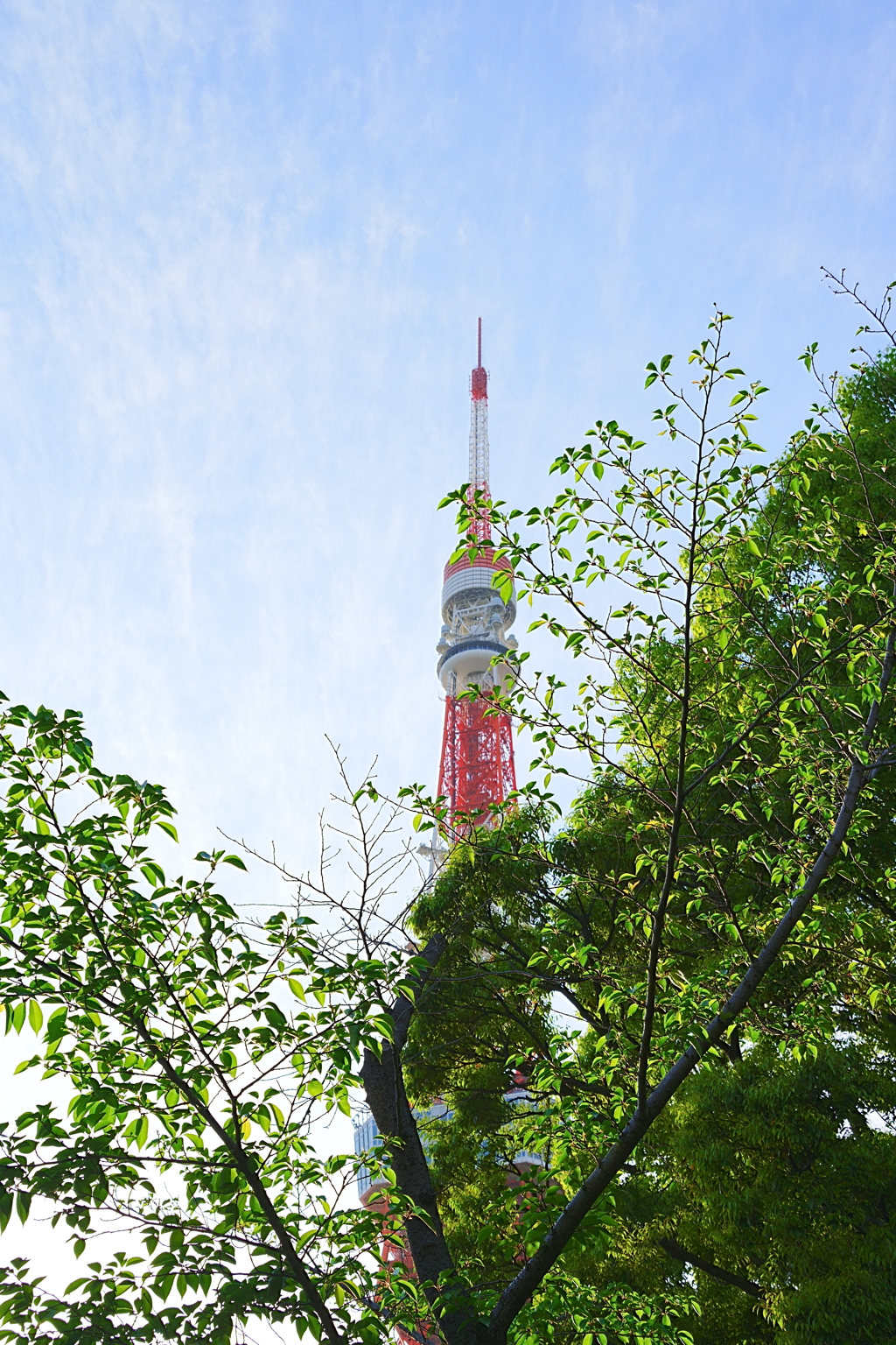 東京タワー