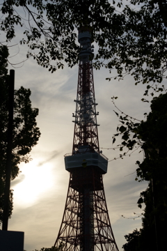 東京タワーシルエット
