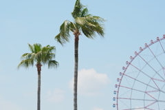 葛西臨海公園①