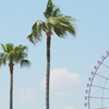 葛西臨海公園①