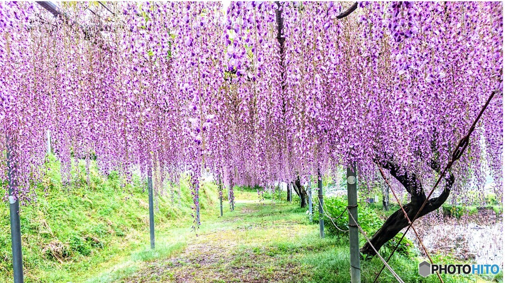 ～また逢おうね～