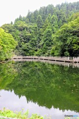 もみじ池