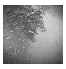 Photowalk