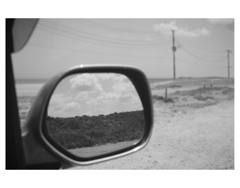 Photowalk